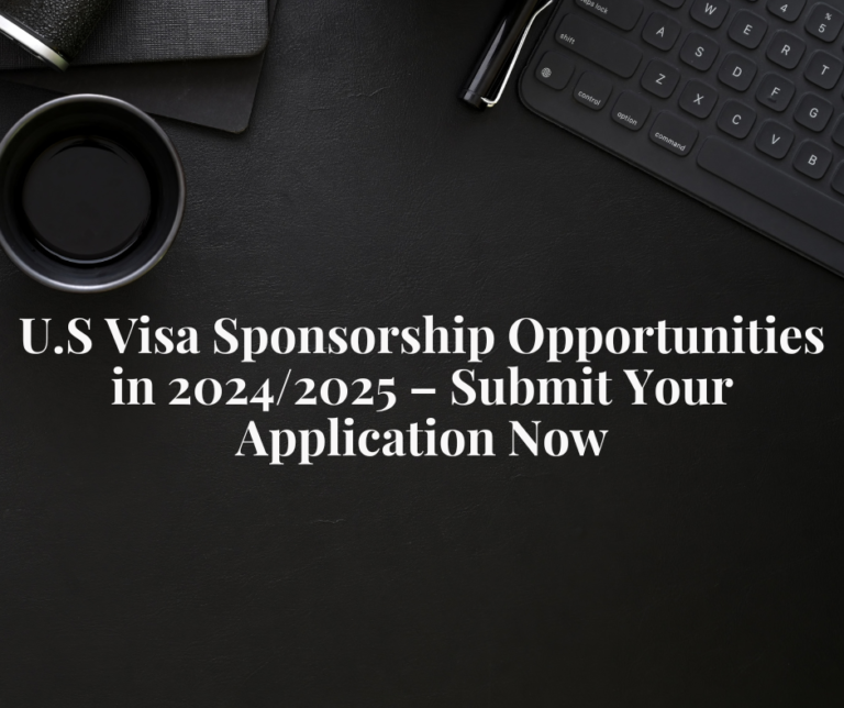 USA Visa Opportunities for 2025/2026